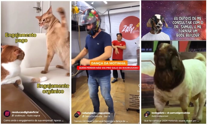 A imagem apresenta uma montagem de quatro clipes de vídeo.  1. O primeiro clipe mostra dois gatos, um deles com uma expressão curiosa, com as legendas "Engajamento pago" e "Engajamento orgânico" destacadas, sugerindo uma comparação entre diferentes tipos de engajamento nas redes sociais. 
2. O segundo clipe apresenta um homem dançando, usando um capacete, em um ambiente descontraído, com a legenda "Dança da Motinha: Quem perder não vai pro galo da madrugada!", indicando um momento divertido e interativo.  3. O terceiro clipe traz um texto que diz: "Eu depois de me consultar com o Dr. Samuel e me tornar um bode builder!", com uma imagem de um bode, sugerindo humor e transformação.  4. O quarto clipe mostra um bode em movimento, com uma legenda que promete um início de ano divertido e cheio de energia.  A  imagem representa exemplos de como fazer reels